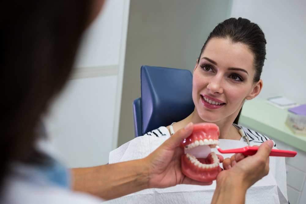 Dentist showing set of model teeth