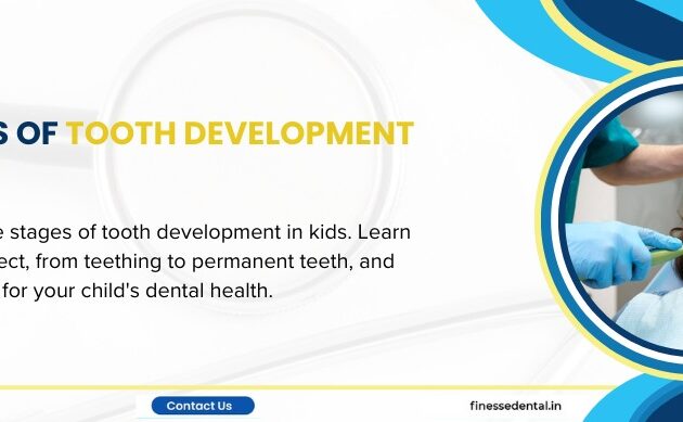 stages of tooth development